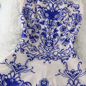 Blue And White Porcelain Sleeveless Dress Lace..