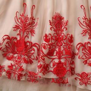 Embroidery Elegant Dress