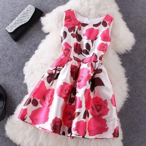 Fashion Rose Printed Sleeveless Dress